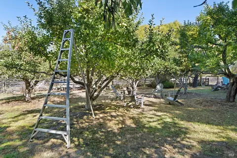 Exterior - 550 Salmon Creek Rd, Bodega, CA 94922 photo 2 of 42