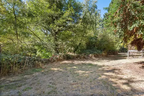 Exterior - 550 Salmon Creek Rd, Bodega, CA 94922 photo 30 of 42