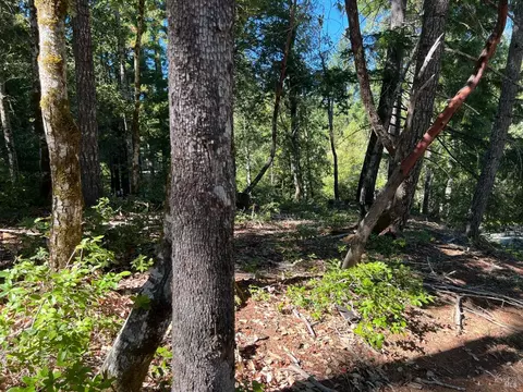 2008 Lupine Dr, Willits, CA 95490 photo 6