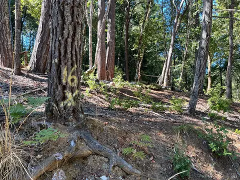 2008 Lupine Dr, Willits, CA 95490 photo 3