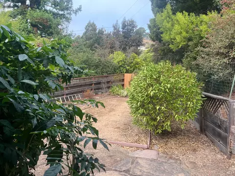 207 Meda Ct, Mill Valley, CA 94941 photo 41