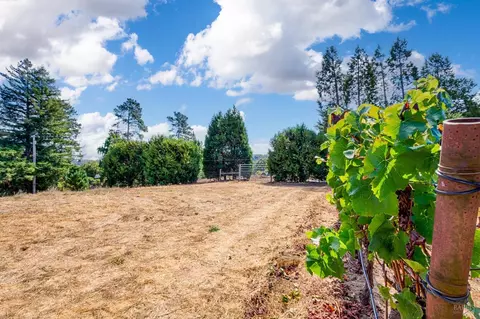 2875 Burnside Rd, Sebastopol, CA 95472 photo 41
