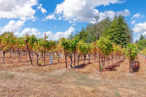 2875 Burnside Rd, Sebastopol, CA 95472 photo 46