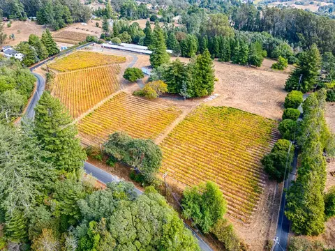2875 Burnside Rd, Sebastopol, CA 95472 photo 65
