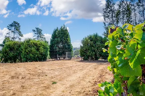 2875 Burnside Rd, Sebastopol, CA 95472 photo 40