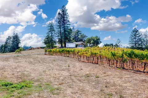 2875 Burnside Rd, Sebastopol, CA 95472 photo 8