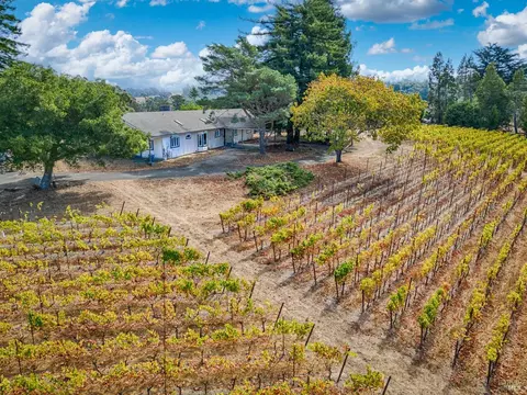 2875 Burnside Rd, Sebastopol, CA 95472 photo 13
