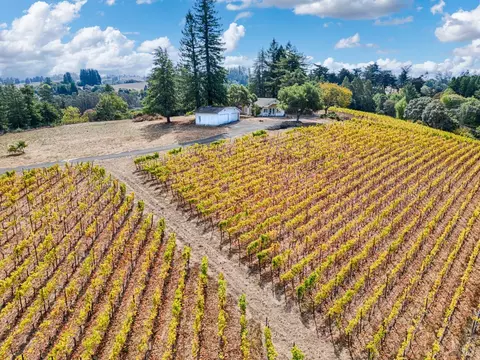 2875 Burnside Rd, Sebastopol, CA 95472 photo 12
