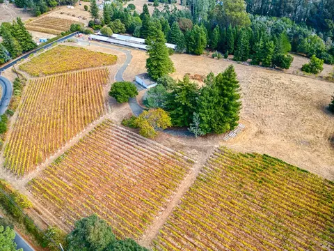 2875 Burnside Rd, Sebastopol, CA 95472 photo 66