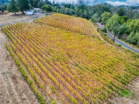 2875 Burnside Rd, Sebastopol, CA 95472 photo 70