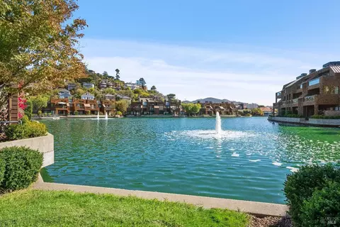 20 Lagoon Vis, Tiburon, CA 94920 photo 59