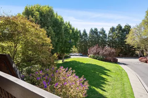 20 Lagoon Vis, Tiburon, CA 94920 photo 31