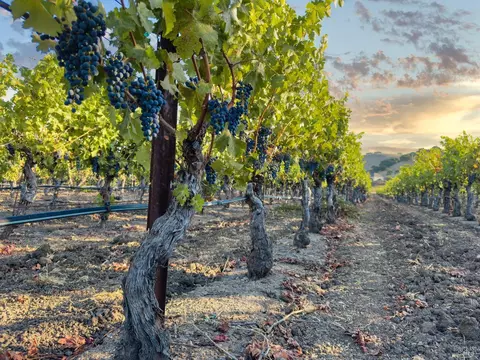 5111 Lovall Valley Loop Rd, Napa, CA 94559 photo 7