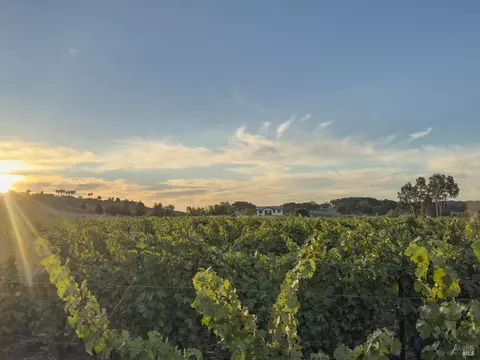 5111 Lovall Valley Loop Rd, Napa, CA 94559 photo 16