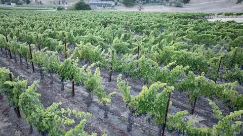 5111 Lovall Valley Loop Rd, Napa, CA 94559 photo 8