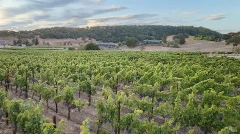 5111 Lovall Valley Loop Rd, Napa, CA 94559 photo 9