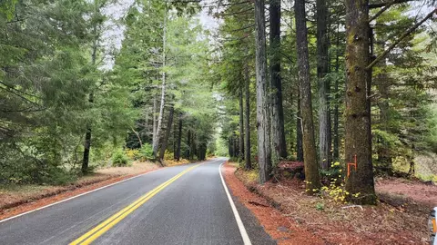 0 Branscomb Rd, Branscomb, CA 95417