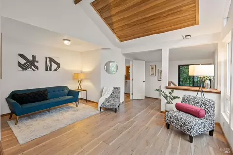 192 Adams Ave, Mill Valley, CA 94941 photo 18