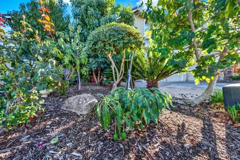 83 Luke Dr, Napa, CA 94558 photo 45