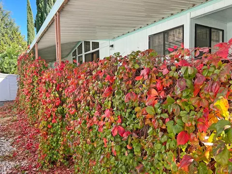 700 E Gobbi St #61, Ukiah, CA 95482 photo 29