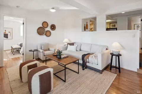 113 Hillside Ave, Mill Valley, CA 94941 photo 50