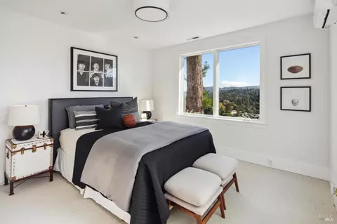113 Hillside Ave, Mill Valley, CA 94941 photo 41