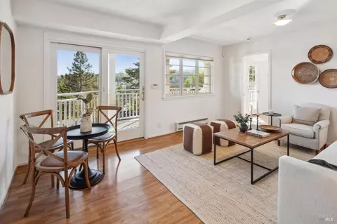 113 Hillside Ave, Mill Valley, CA 94941 photo 44