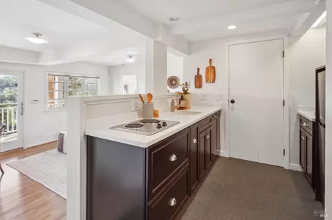113 Hillside Ave, Mill Valley, CA 94941 photo 46