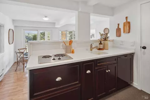 113 Hillside Ave, Mill Valley, CA 94941 photo 47