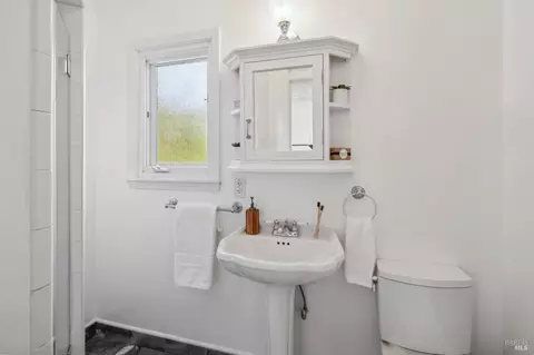 113 Hillside Ave, Mill Valley, CA 94941 photo 40