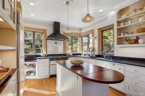 113 Hillside Ave, Mill Valley, CA 94941 photo 20