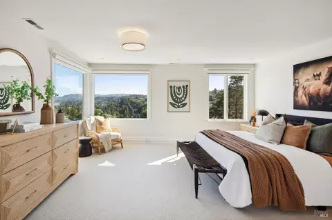 113 Hillside Ave, Mill Valley, CA 94941 photo 33