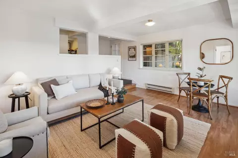 113 Hillside Ave, Mill Valley, CA 94941 photo 45