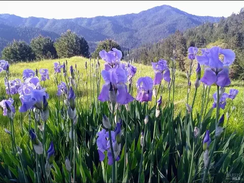 5600 Westview Rd, Willits, CA 95490 photo 28