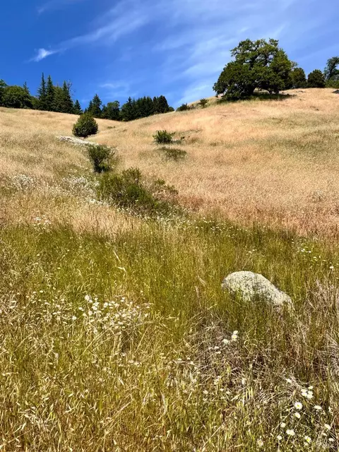5600 Westview Rd, Willits, CA 95490 photo 32