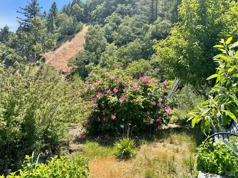 5600 Westview Rd, Willits, CA 95490 photo 33