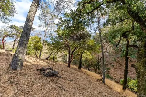 Exterior - 30 Beechwood Ct, Napa, CA 94558 photo 12 of 14