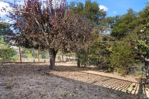 73 Milland Dr, Mill Valley, CA 94941 photo 41