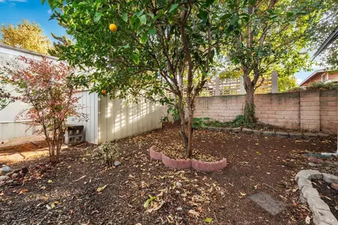 2064 Dalis Dr, Concord, CA 94520 photo 47