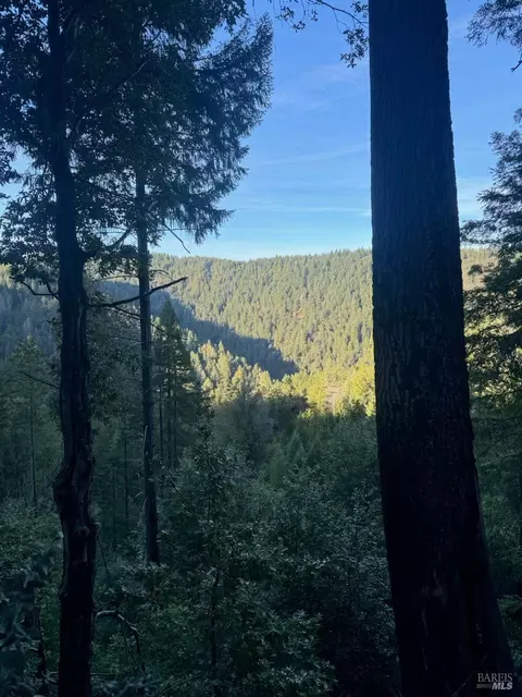 8555 Signal Ridge Rd, Philo, CA 95466 photo 2