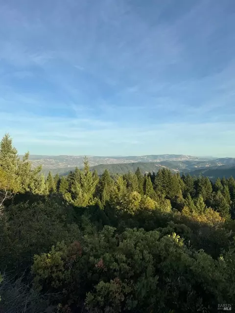 8555 Signal Ridge Rd, Philo, CA 95466 photo 3