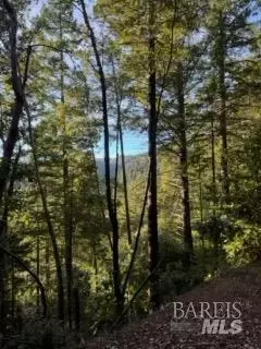 8555 Signal Ridge Rd, Philo, CA 95466 photo 4