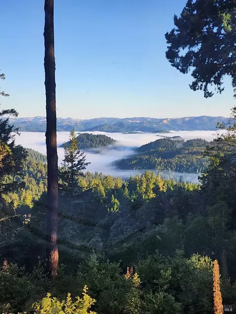 18000 Willow Creek Rd, Occidental, CA 95465