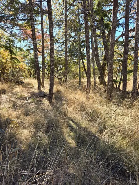 1591 Daphne Dr, Willits, CA 95490 photo 6