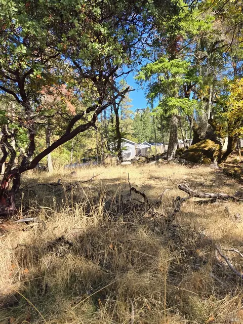 1591 Daphne Dr, Willits, CA 95490 photo 3