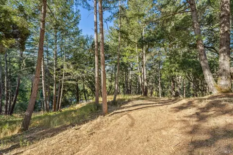 5 Chaparral Ln, San Geronimo, CA 94963 photo 6