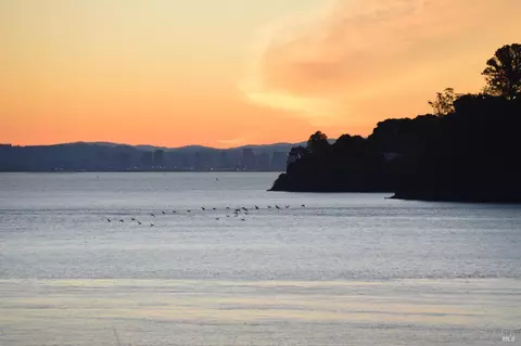 2517 Mar East St, Tiburon, CA 94920