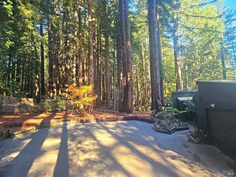 2250 Joy Rd, Occidental, CA 95465 photo 30