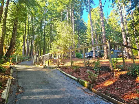 2250 Joy Rd, Occidental, CA 95465 photo 2