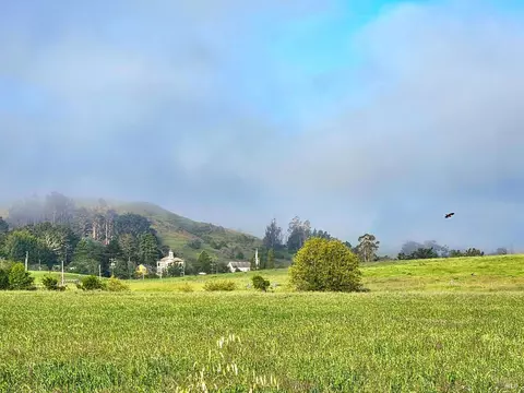 2250 Joy Rd, Occidental, CA 95465 photo 39